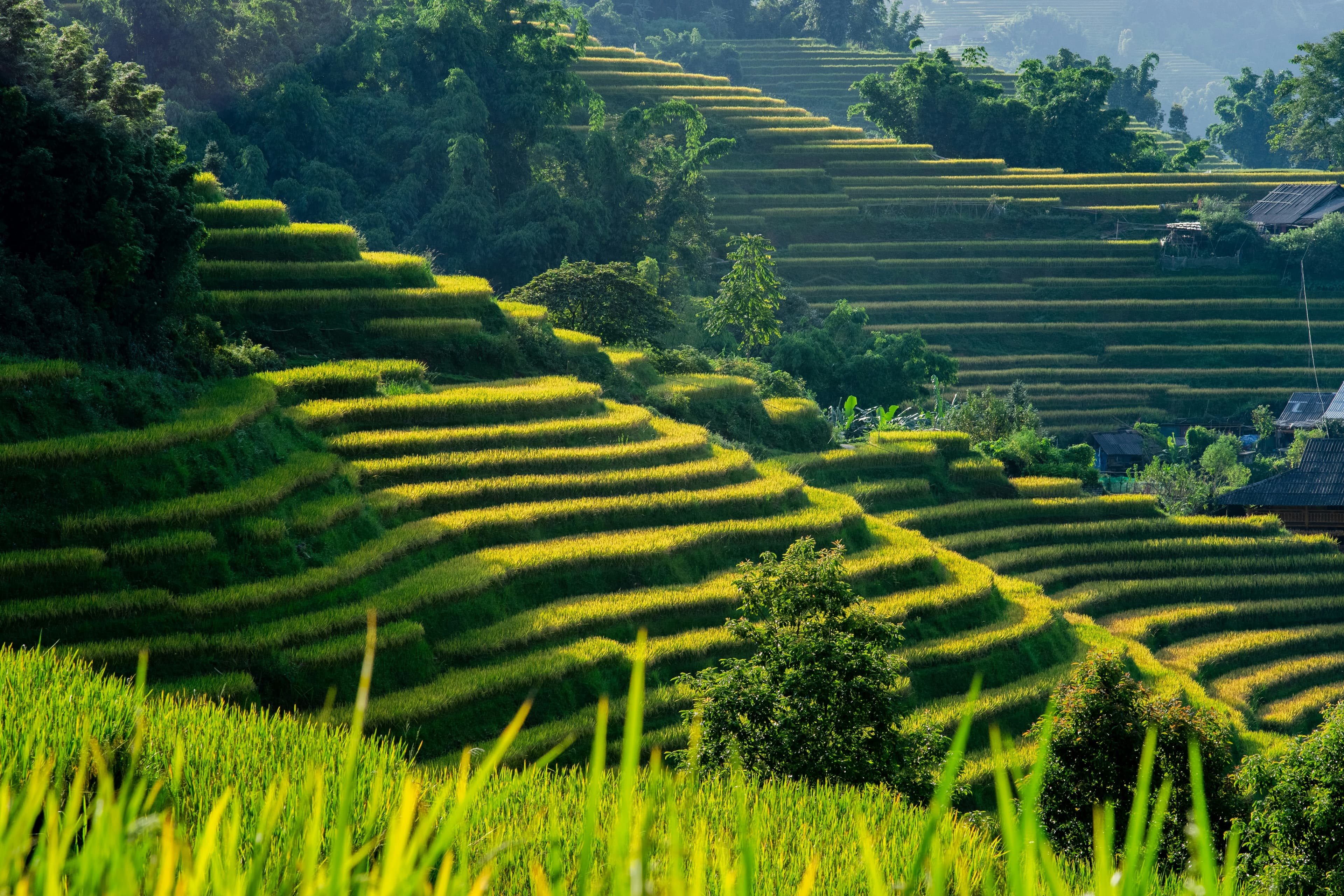 Ngày 1 - Khởi hành