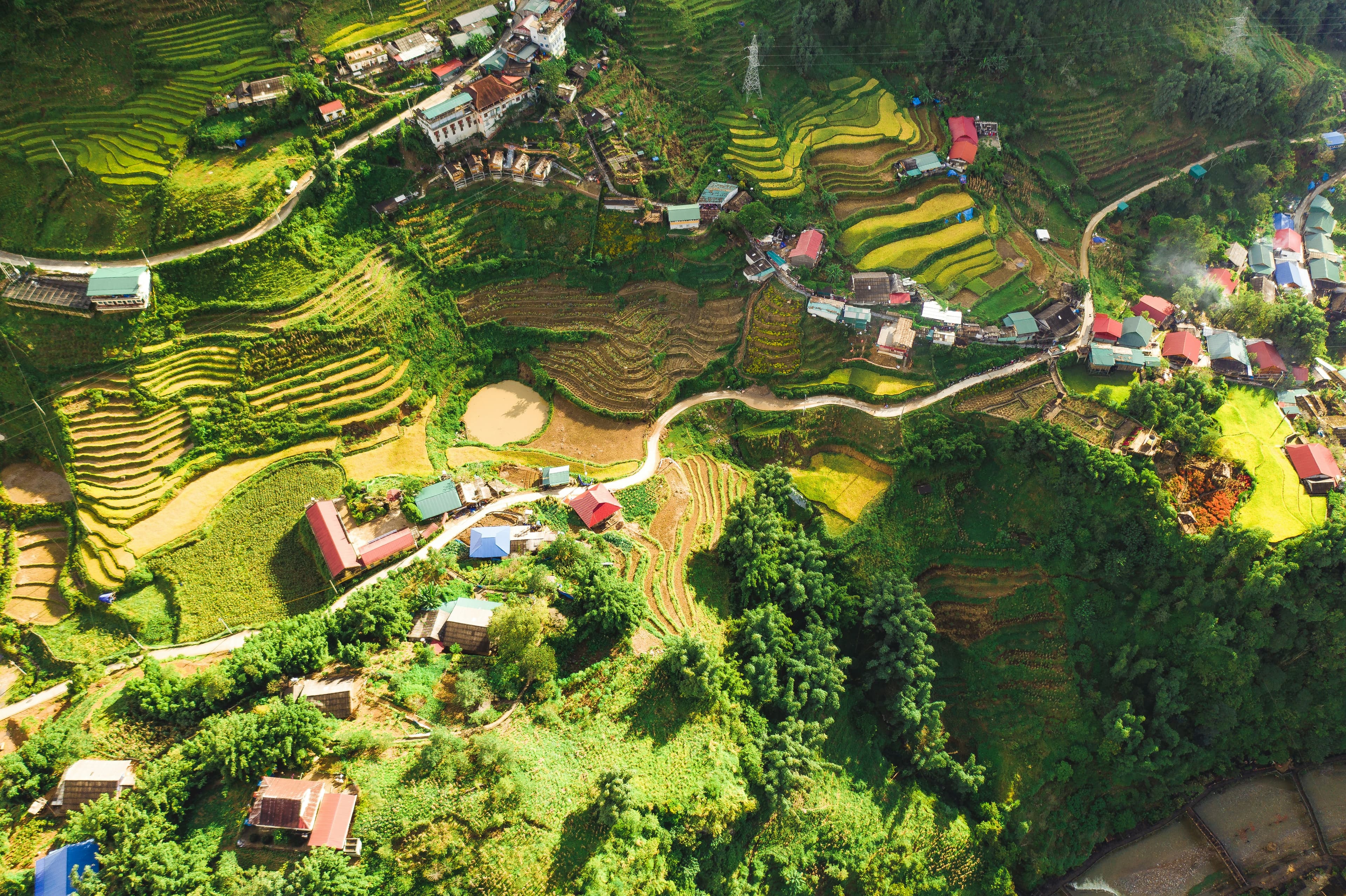 Ngày 4 - Khám phá